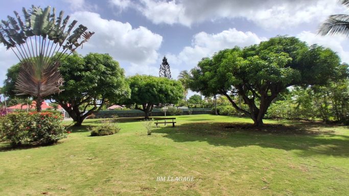 Entretien paysager chez un particulier à Baie-Mahault en Guadeloupe